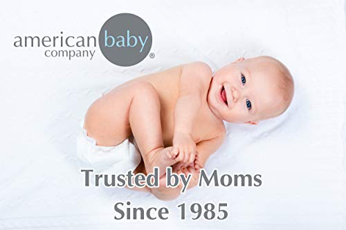Американската Бебе Компанија Небесен Мека Шенил Шерпа Дете Ќебе, Сива, 36 х 48, За Момчиња и Девојчиња