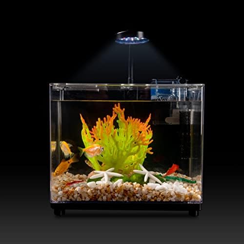 Комплет за аквариум стартер 1,87 Галони Со Декор Во Позадина На Карпи и Светлосен Диск Што Ја Менува Бојата