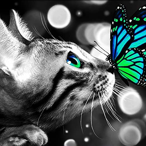 Импонигични комплети за сликање на дијаманти за возрасни, мачки и пеперутка DIY 5D сликарство целосна вежба Дијамант сет на слика и