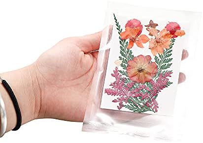 1 пакет сушени цвеќиња УВ смола Природни цвеќиња налепници Сув убавина Деклас за DIY епоксидна смола Пополнување на ноктите за украси