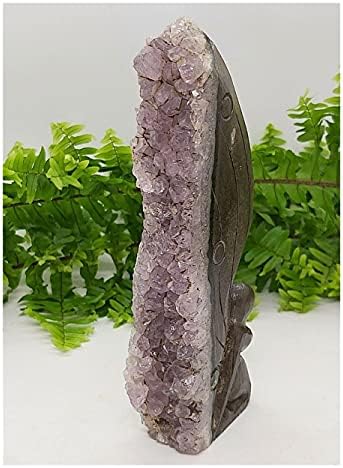Декоративни украси на Саии 200гр рака врежана на домаќинот карпа аметист кристална самовила, лековито камен