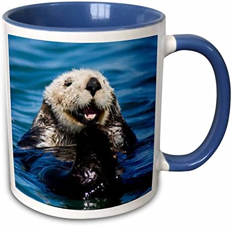 3Drose Sea Otter, Moss Landing, Calamistic Calamic кригла Калифорнија Jimим Голдстајн, 11 мл, бело