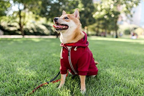 Авантуристички поштенски кариуни со црвено куче со џебови со кука и јамка и прилагодлив аспиратор за влечење - достапна во екстра
