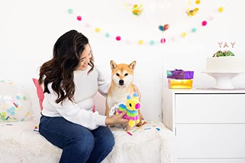 Pearhead Puppy Pinata Dog Toy, јаже играчка за кучиња за кучиња, шарени интерактивни играчки за кучиња, забава Pinata играчка