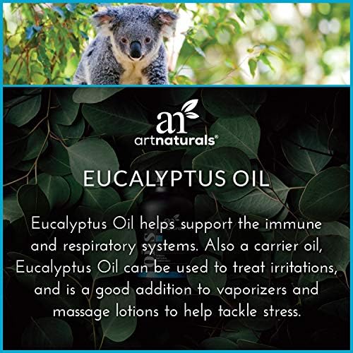 Artnaturals чисто есенцијално масло од еукалиптус - - Неоснован мирис на терапевтско одделение - смирено смирување и навлажнување - за дифузер за ароматерапија, парна про