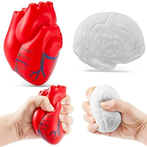 Анатомија стрес играчка сет 2 парчиња топки од срцев стрес со незгоден мозок пу -пена стрес топка зомби лажна здравствена заштита