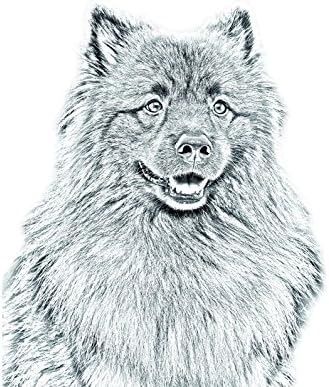 Keeshond, овална надгробна плоча од керамичка плочка со слика на куче