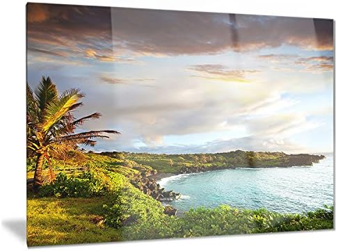 DesignArt Hawaii Oahu Island-Protography Metal Wall Art-MT6803-40X30, 40x30