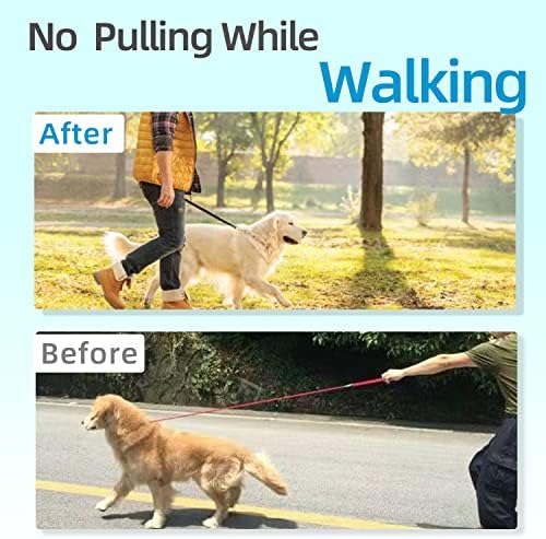 Прилагодлива јака за обука на кучиња со тока за брзо ослободување за мали средни големи кучиња