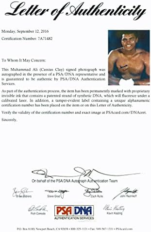 Мухамед Али потпиша „Касиус Клеј“ автентичен 11x14 Фото PSA/DNA ITP 7A71482