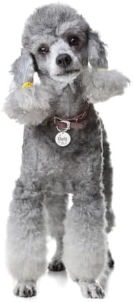 Starвезда-месечна Персонализирана персонализирана прилагодена име Адреса ознаки ПЕТ куче не'рѓосувачки челик за јака од кучиња анти-изгубени