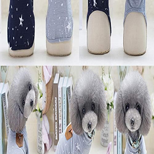 LRTL популарна облека за миленичиња пролет и есен две нозе јапонски и корејски маица чиста памучна мода убава облека за кучиња
