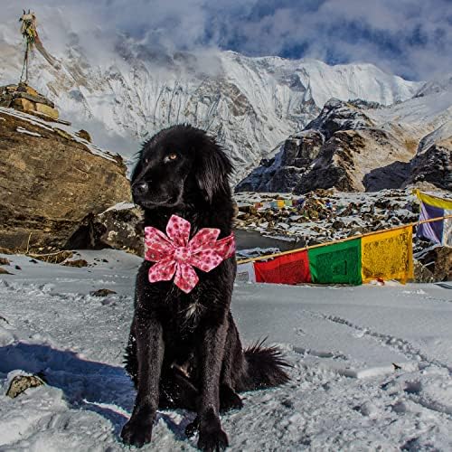 Јака од кучиња loiiheii со лак и цветна вратоврска, прилагодливи удобни јаки од кучиња Девојки момчиња подароци за мајки, мали