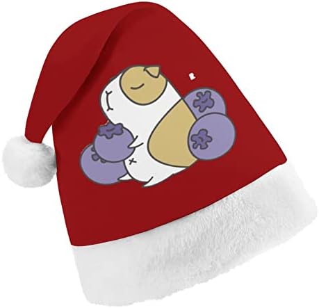 Божиќна Капа Од заморчиња И Боровинки Персонализирана Капа На Дедо Мраз Смешни Божиќни Украси