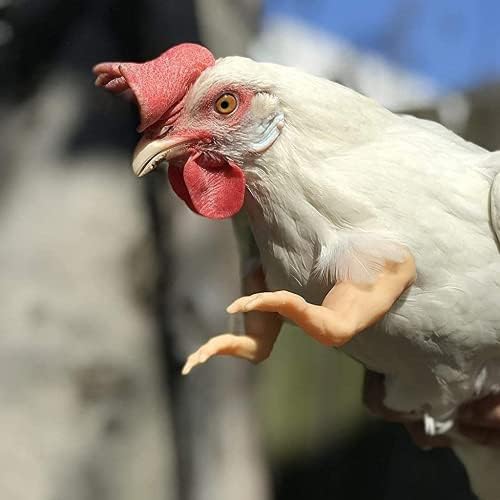 Пилешки раце замотани, пилешки раце тупаници мем играчки, мускули пилешко Т-рекс раце за пилешки кокошки пародија замотани реквизити