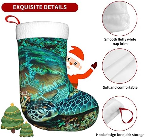 Божиќни чорапи на Аугенстер, желка Комодо Национален парк двострана камин што виси чорапи