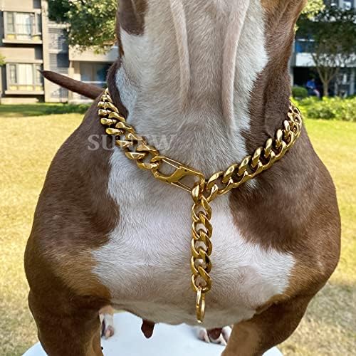 Прилагодлив не'рѓосувачки челик 19мм злато позлатено куче титан јака ѓердан тренинг одење метална кучиња должност за џвакање доказ за мали средни