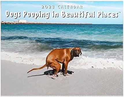 2023 Wallиден календар Смешен календар за кучиња 2023 кучиња календар за календари на шешир за подароци Календар 2022