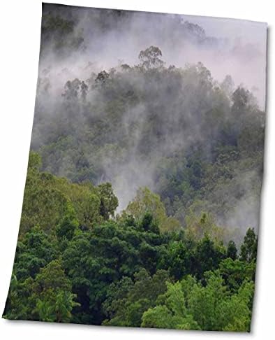 Облаци од 3доси во тропските планини од дождовни шуми околу Карнс, Австралија - крпи