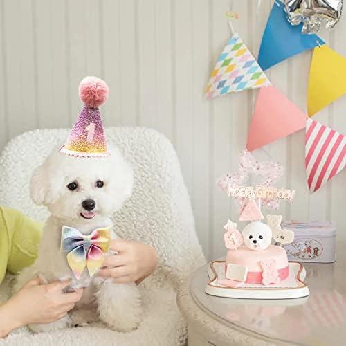 Роденденски сет Доти Доти - симпатична капа и гума играчка за роденден за роденденска забава, подарок, костум за роденденска капа