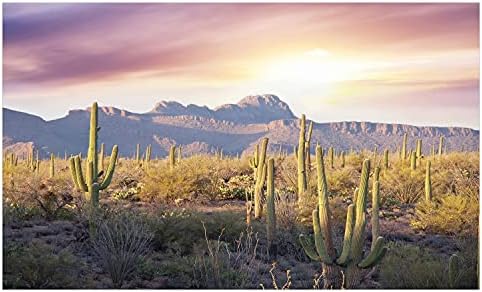 Амбесон Аризона, држач за четкичка за заби, државен парк во САД на егзотичен сагуарски кактус во сончев ден со планини, декоративен разноврсен