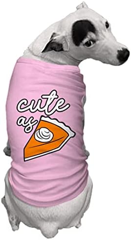 Симпатична како пита - тиква симпатична кошула за кучиња од кучиња