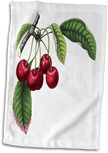 3drose Florene - Гроздобер храна - Печатење на германски цреши од книга за ботаники - крпи