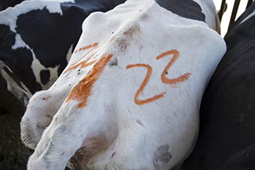 СИТЕ ВИДЕРСКИ ПИСТИК 61025- маркер за добиток, многу видлива, нетоксична боја за обележување на животинска кожа, скриј, Пелт,