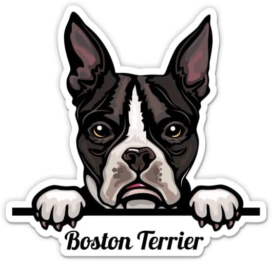 Налепница за кучиња во Бостон Териер - налепница за лаптоп 3 - водоотпорен винил за автомобил, телефон, шише со вода - Деклас